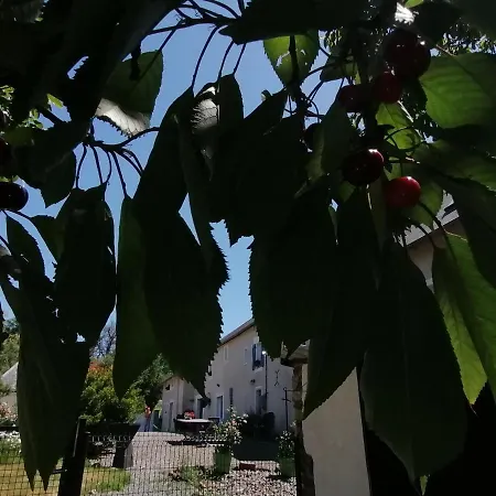 La Parisiere Bed & Breakfast 3*