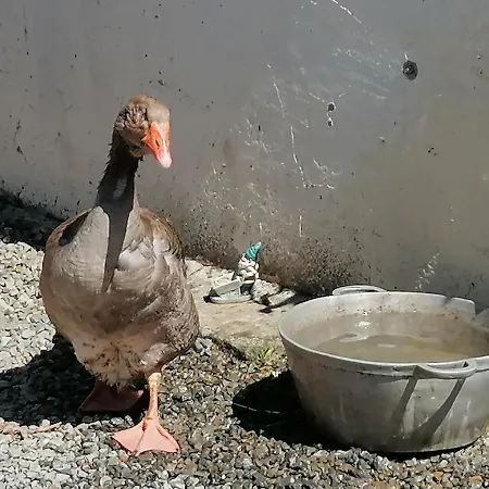 La Parisiere Bed & Breakfast 3*