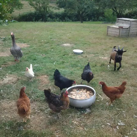 La Parisiere Bed & Breakfast