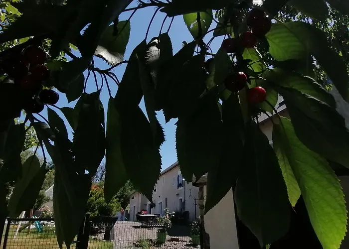 La Parisiere Bed & Breakfast 3*