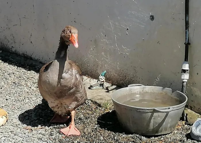 La Parisiere Bed & Breakfast 3*