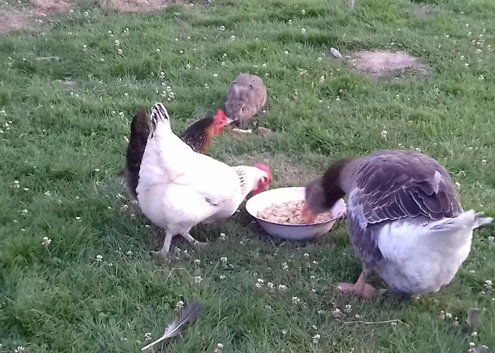 Bed & Breakfast La Parisiere Gavray-sur-Sienne