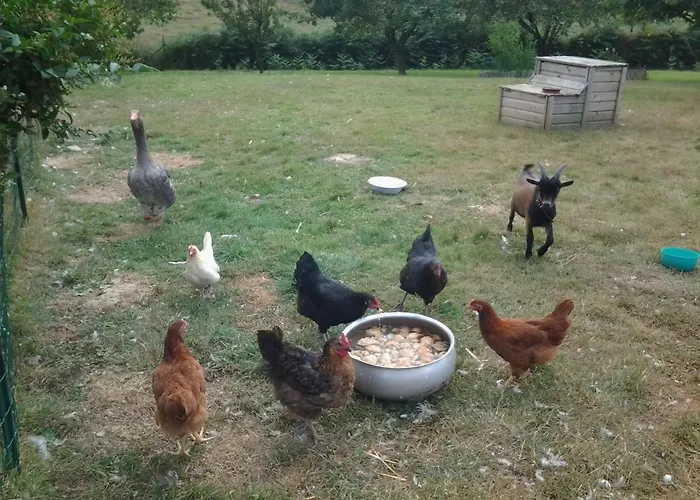 La Parisiere Bed & Breakfast